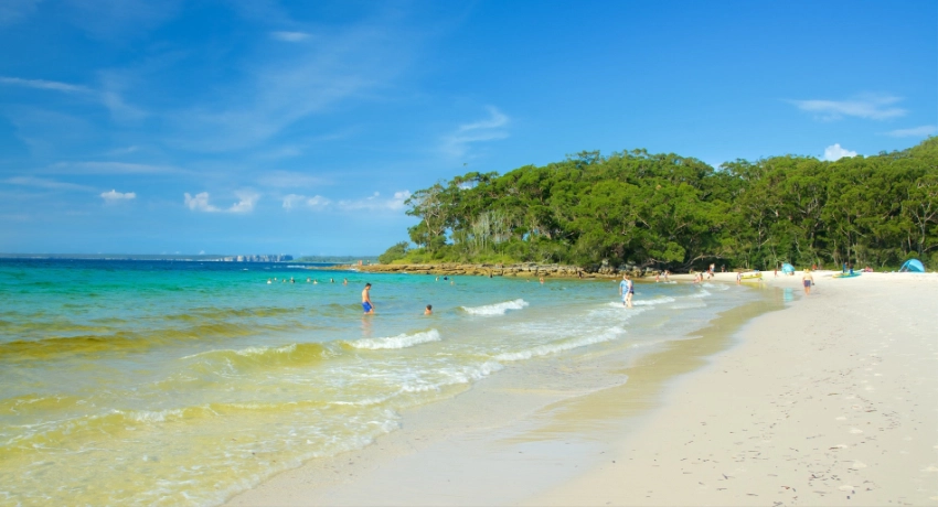 Plage du parc national de Booderee en Australie, connue pour ses eaux claires et son environnement naturel préservé.
